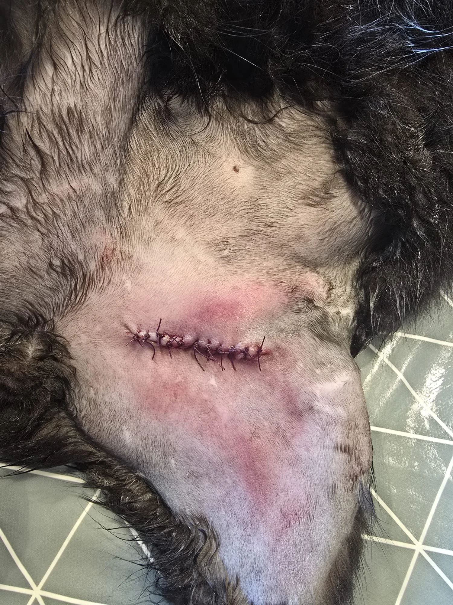 Wundversorgung Schritt 3 - Vernähung