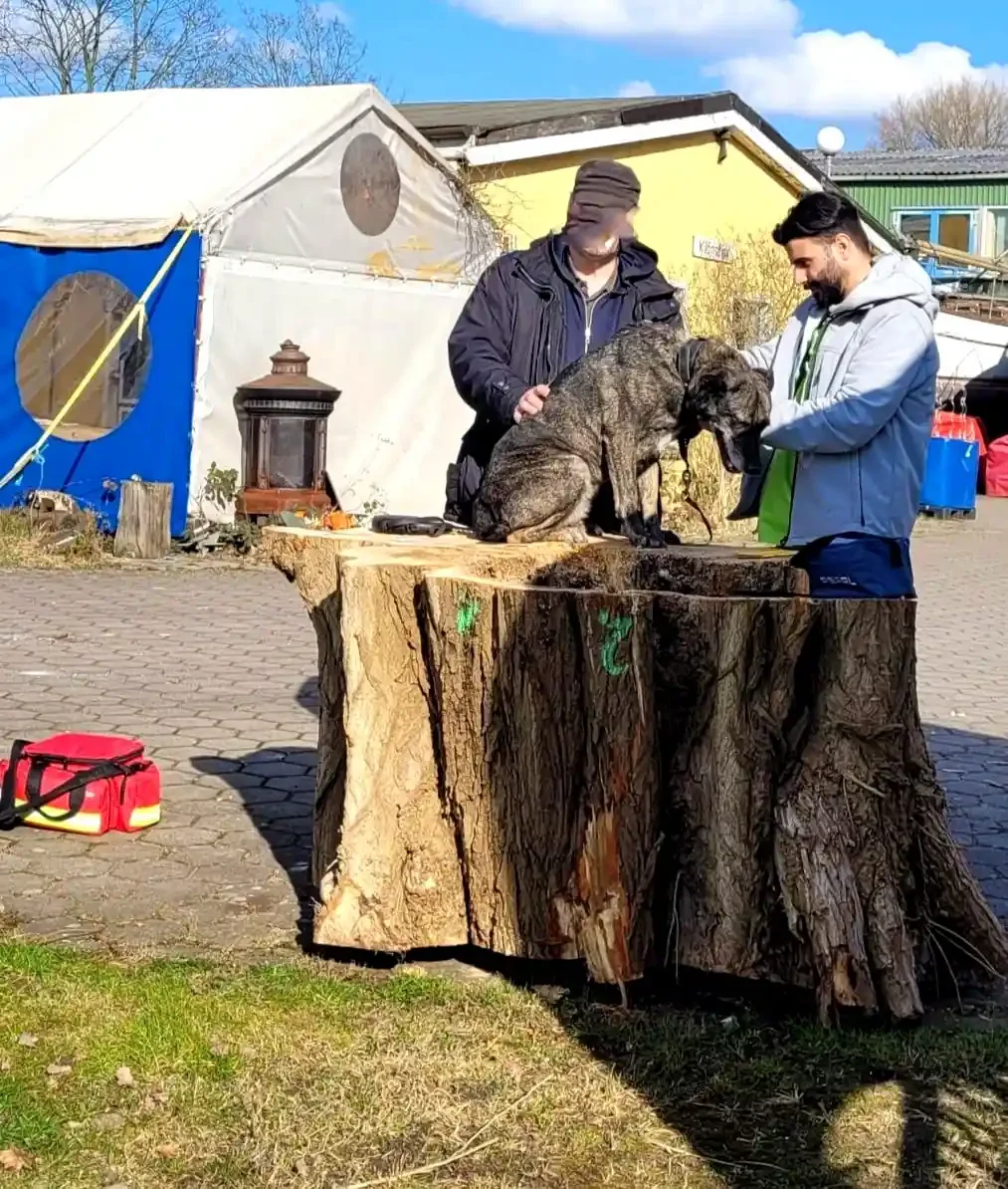 tierarzt notdienst heute